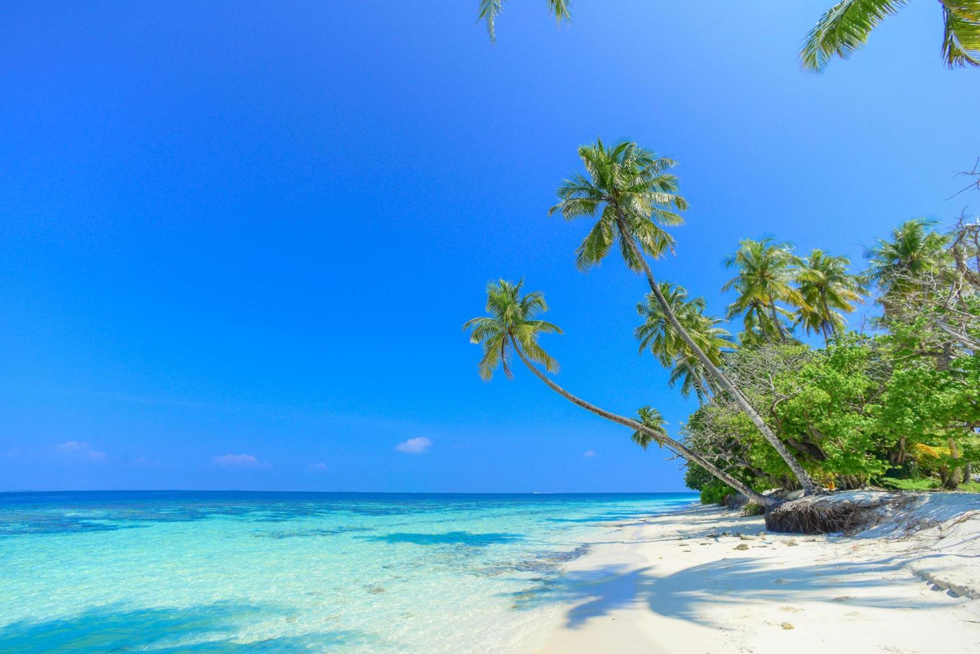 Blue Sky Beach Hulhumalé Eksteriør bilde